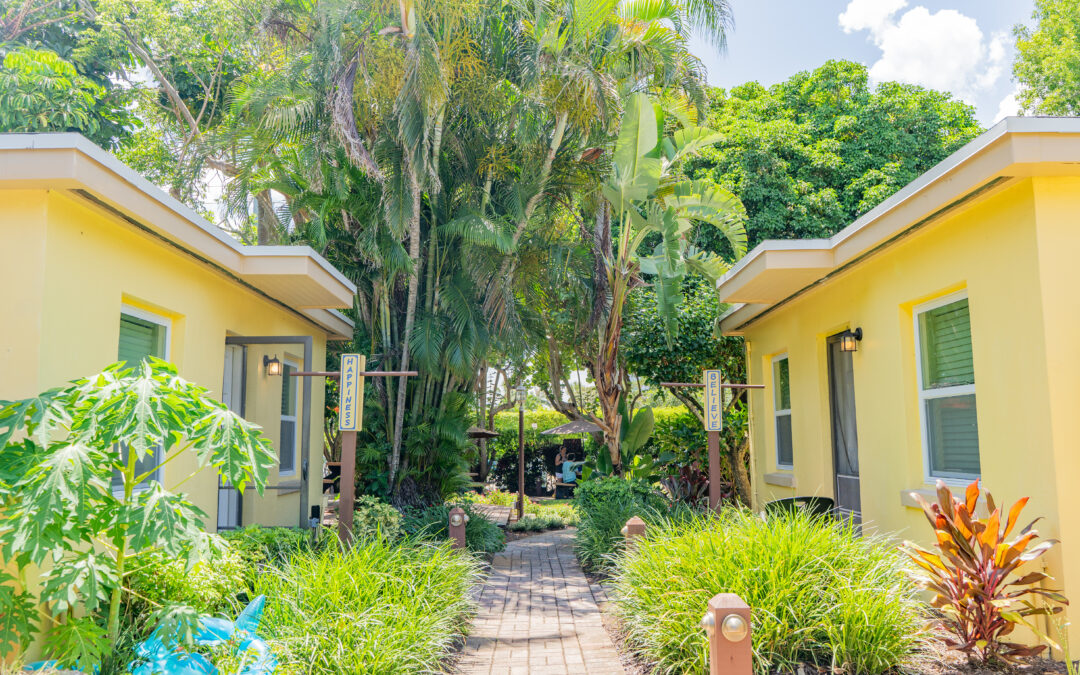 Holistic Healing: Embracing the Benefits of Professional Detox at Beachcomber Recovery Center in Delray Beach